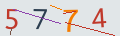 verifycode